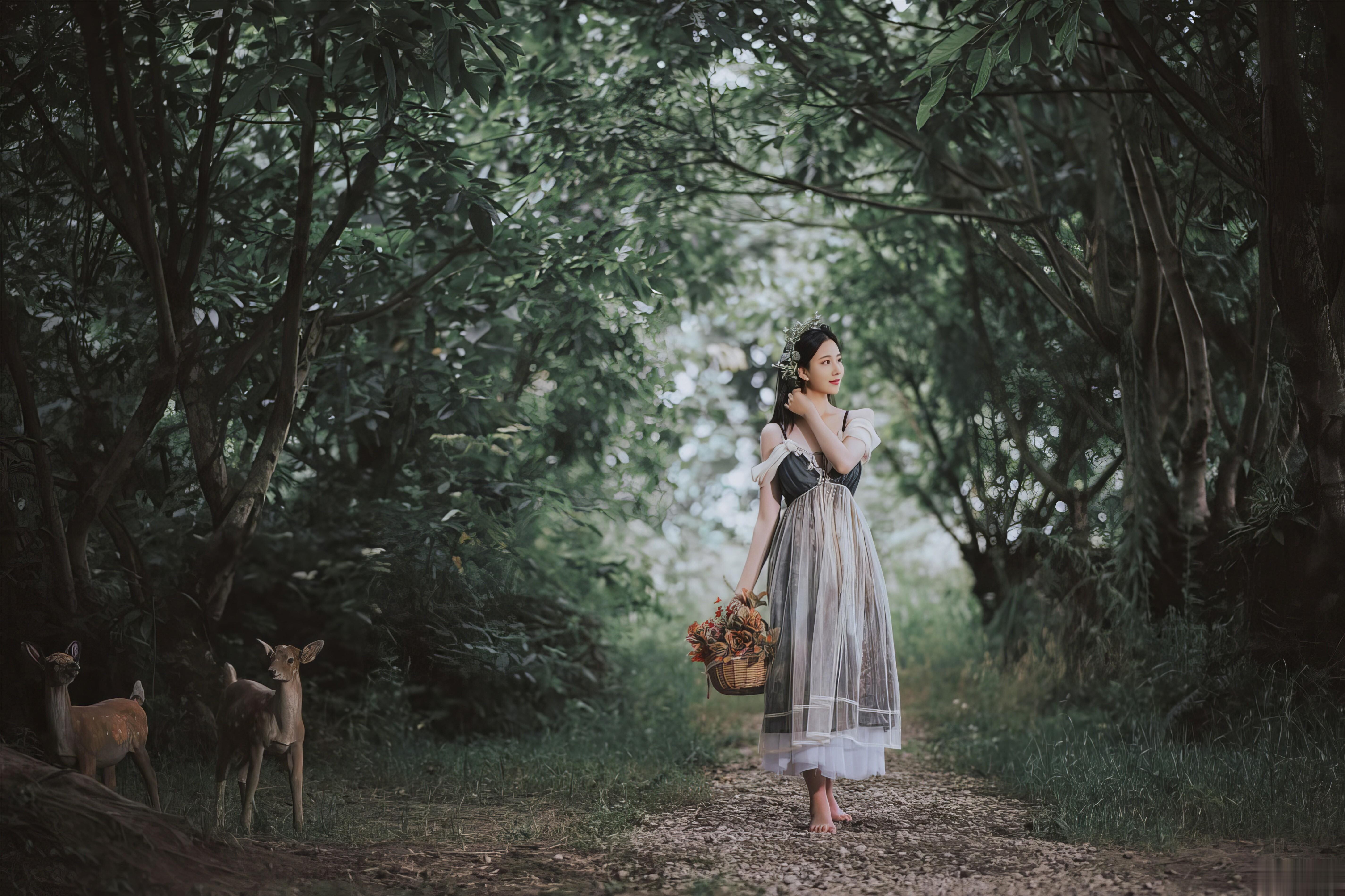 年年 – 爱丽丝仙境