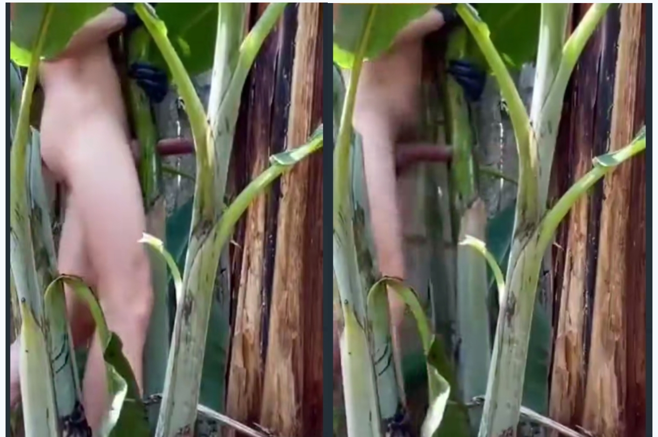 【猎奇新玩法】大屌男操热带植物，树干中间剥开一个洞，抱着大力操到射精