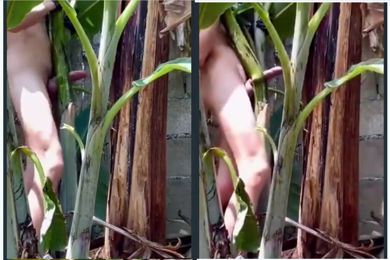 【猎奇新玩法】大屌男操热带植物，树干中间剥开一个洞，抱着大力操到射精