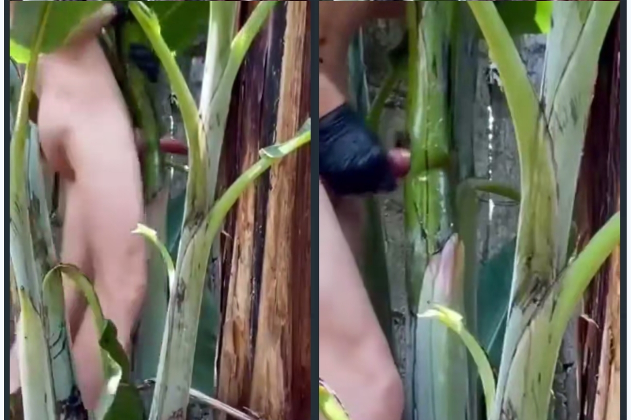 【猎奇新玩法】大屌男操热带植物，树干中间剥开一个洞，抱着大力操到射精