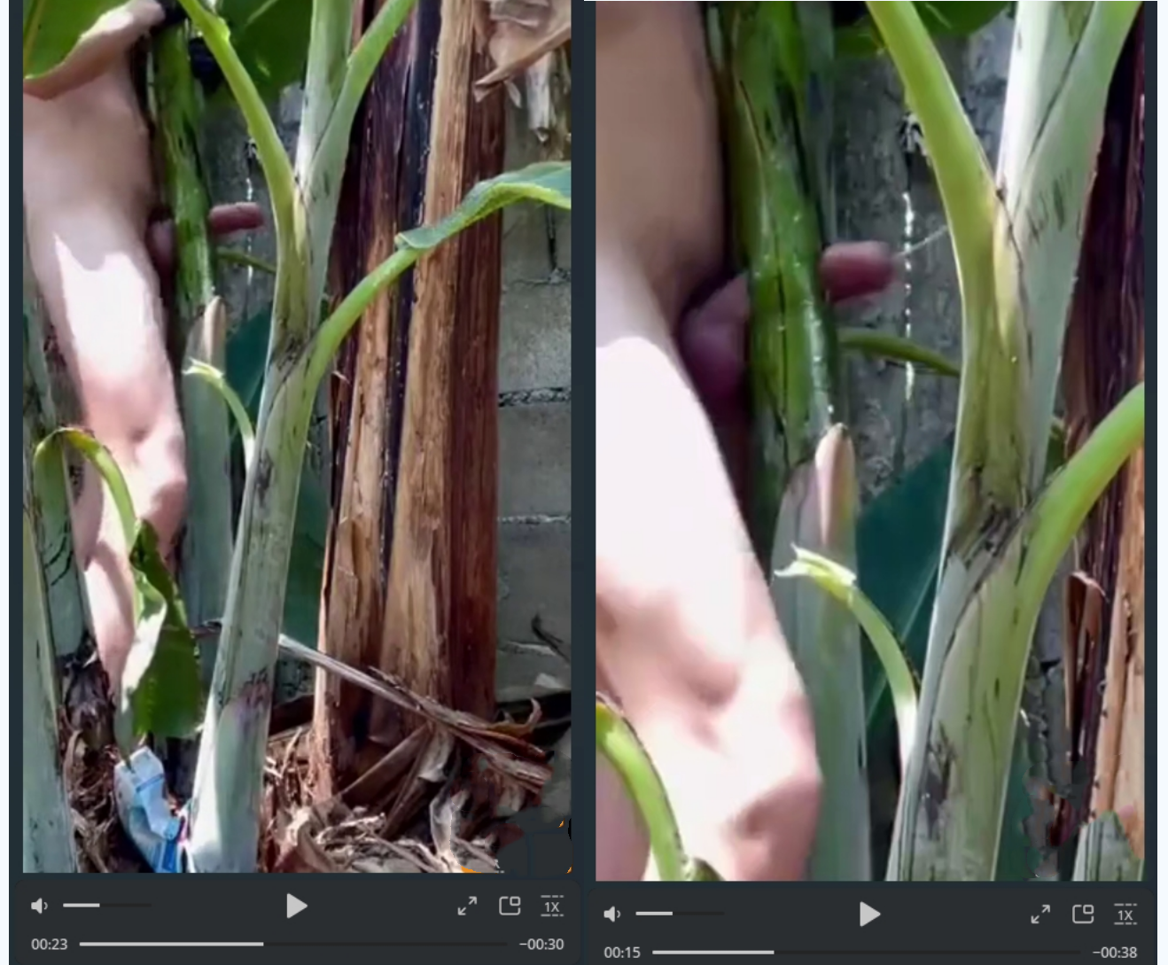 【猎奇新玩法】大屌男操热带植物，树干中间剥开一个洞，抱着大力操到射精