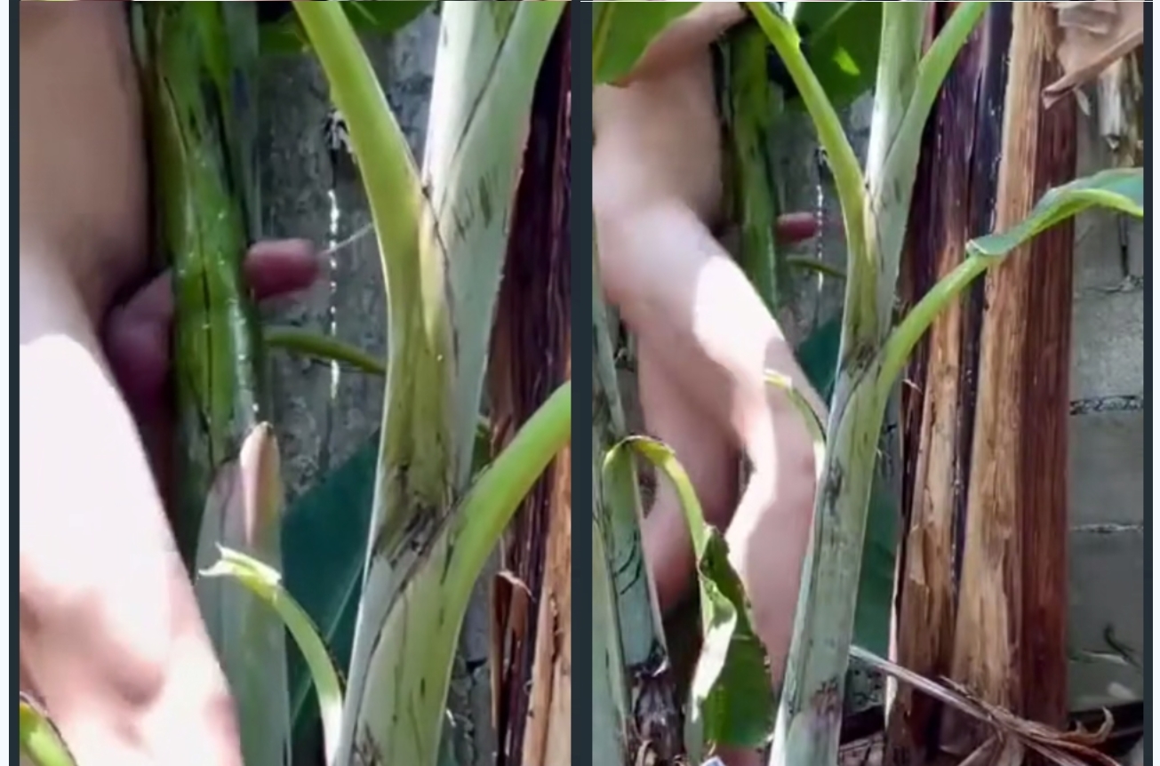 【猎奇新玩法】大屌男操热带植物，树干中间剥开一个洞，抱着大力操到射精