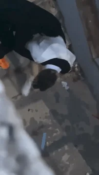 【某某门事件】吃瓜！青岛XX技师学院❤️小情侣校园角落脱裤子抠逼被偷拍！