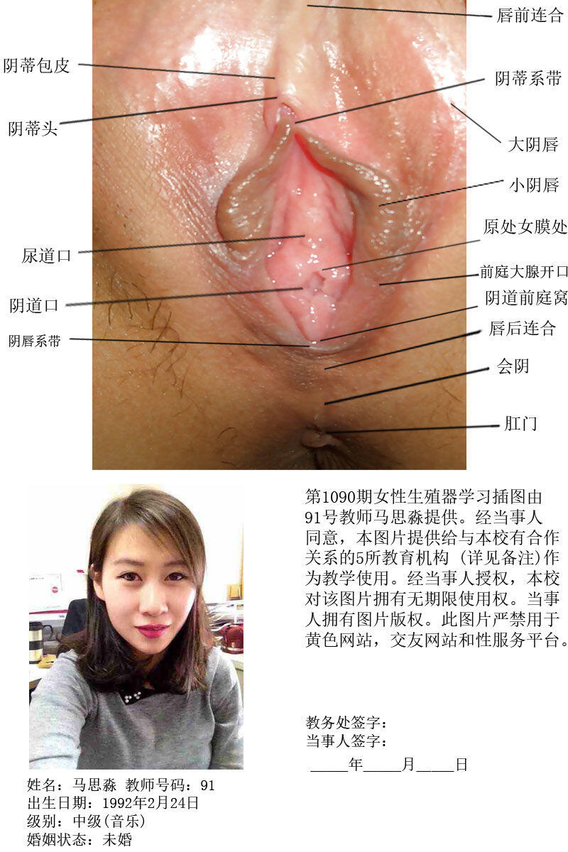 一所私立学校的女性生殖器教学插图