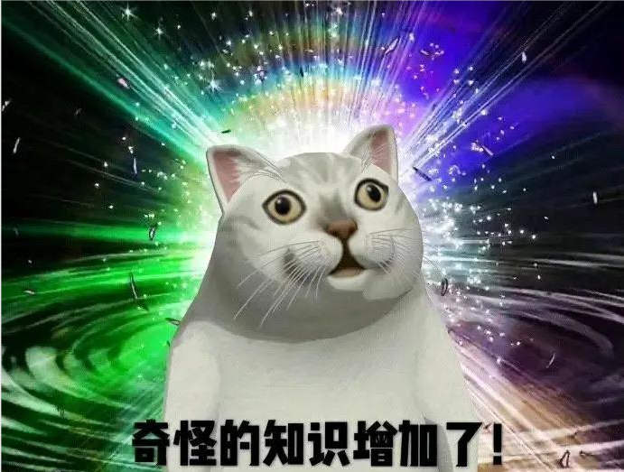 奇怪的知识之人类其实曾经有过活塞状阴茎骨，只不过后来被抛弃了
