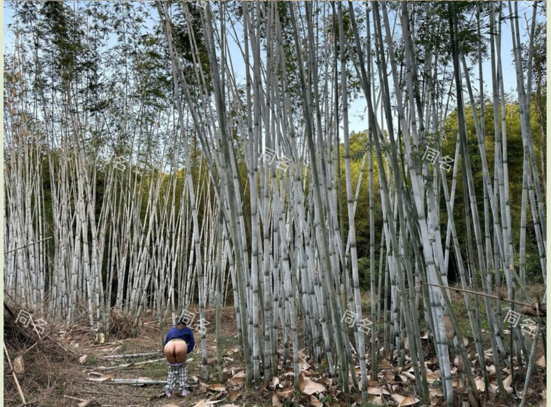 新作，广州80后夫妻，推特淫荡记录，夫妻交换双，后入女女激情热吻