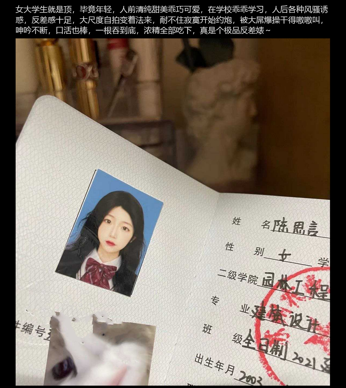 苏州农业技术职业学院 建筑设计专业 「陈思言」 巨乳自拍约炮视频流出