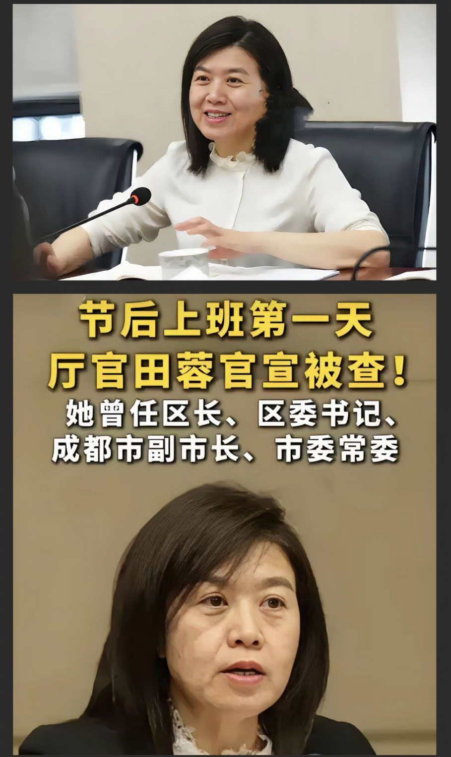 封杀“谭谈交通”女贪官田蓉落马！陪睡领导上位视频被曝光～