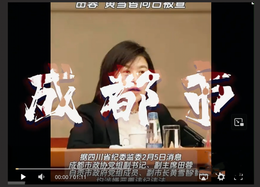 封杀“谭谈交通”女贪官田蓉落马！陪睡领导上位视频被曝光～