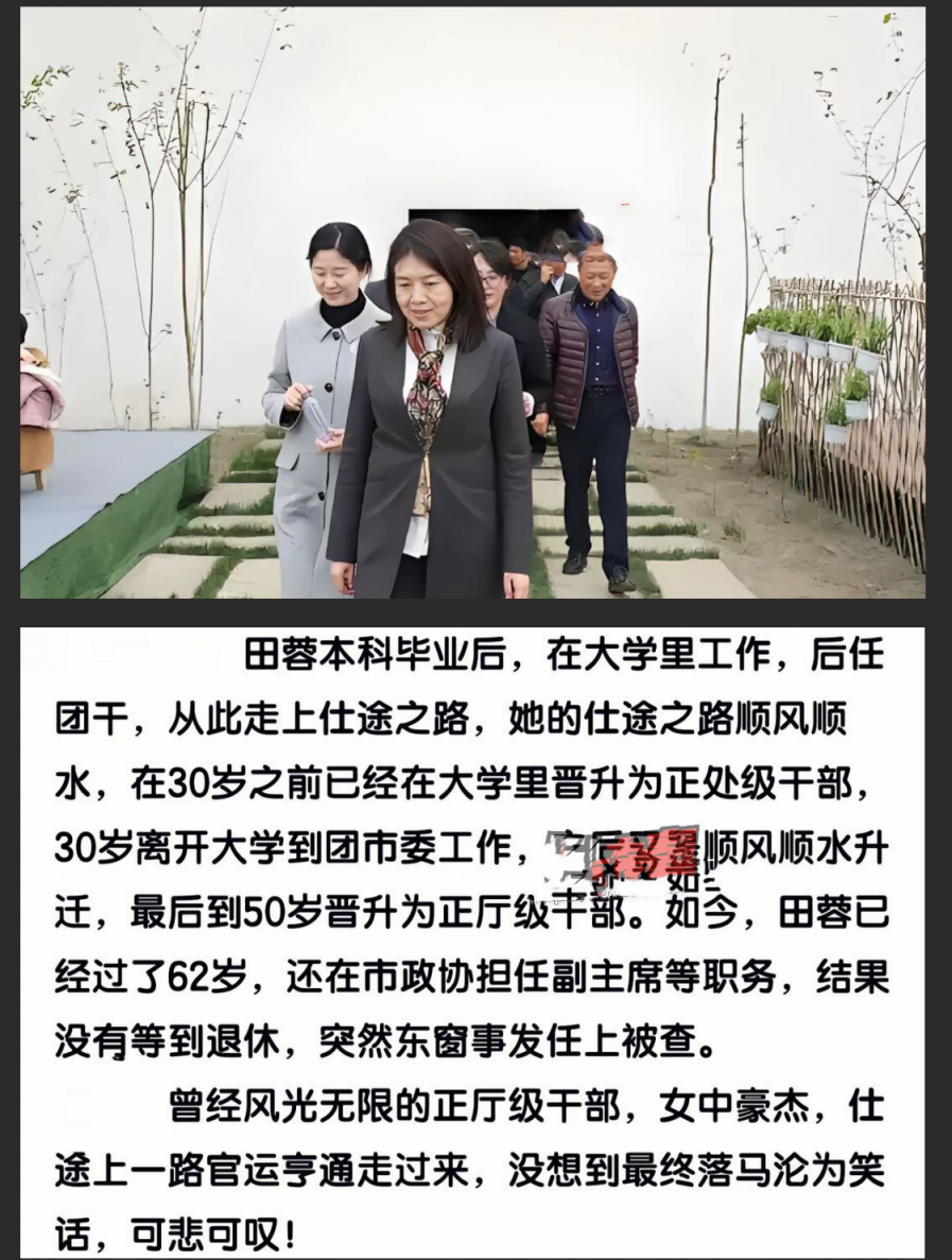 封杀“谭谈交通”女贪官田蓉落马！陪睡领导上位视频被曝光～
