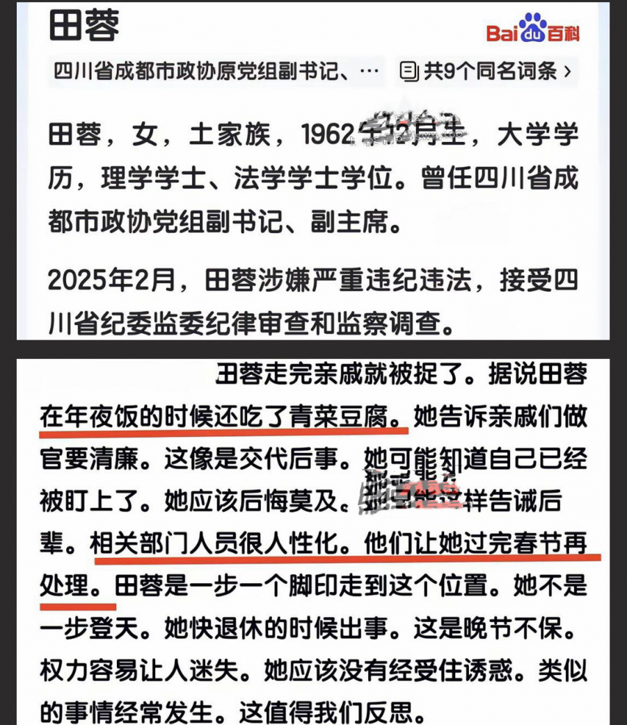 封杀“谭谈交通”女贪官田蓉落马！陪睡领导上位视频被曝光～