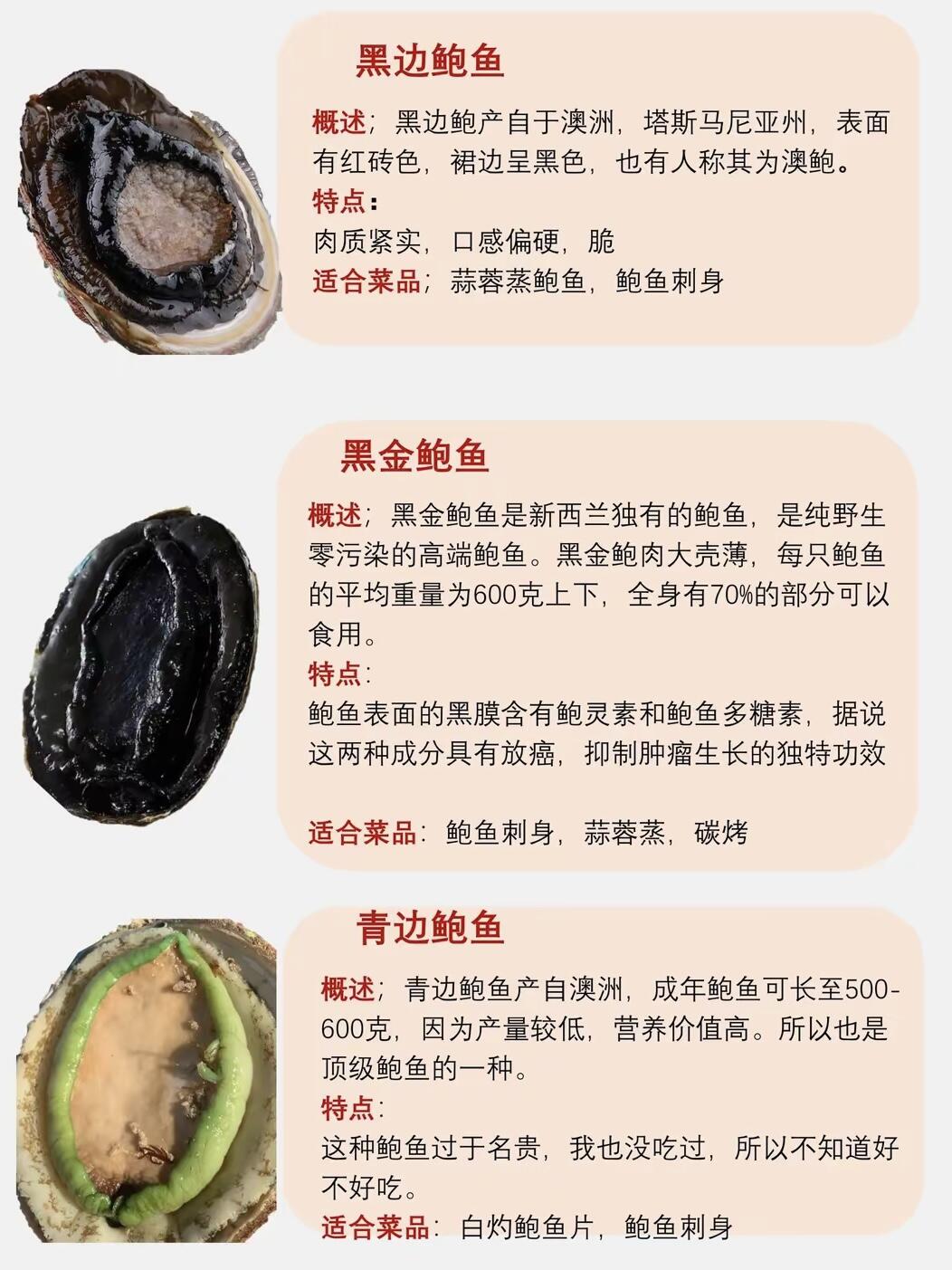 鲍鱼都有哪些品种呢？