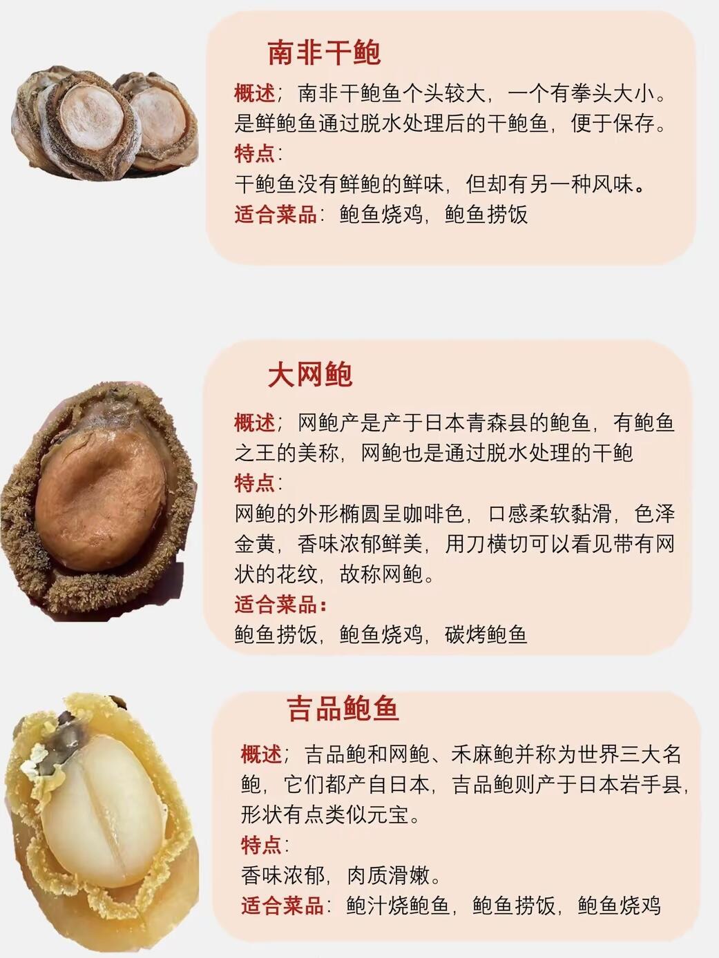 鲍鱼都有哪些品种呢？