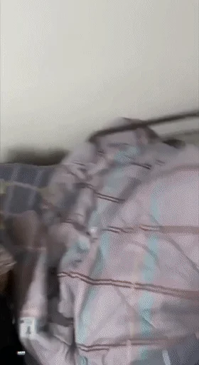 猎奇 女寝内与女友艹逼啪啪啪，好多妹妹在睡觉，趁机与女友来一发，粉嫩的乳头，下铺床上疯狂艹逼！