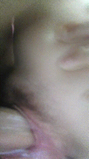 高颜值，好身材，极品汉服模特【焕儿】福利全集，各种淫荡露出拍摄，被金主调教啪啪内射