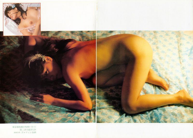 记忆里春风再度重相逢