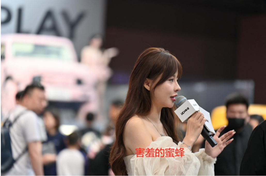 2025上海车展个人认为的最美主持人