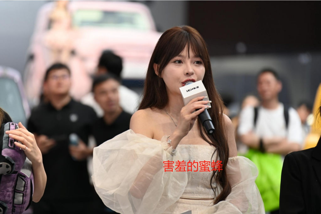 2025上海车展个人认为的最美主持人