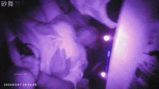 【猎奇资源砂舞厅的激情】昆明舞厅内的淫乱抓奶抠逼爱情就从舞厅开始❤️站炮偷情摸奶炮 性乱爆炸