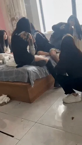 ❤️猎奇❤️十几万粉丝的精神小妹网红摇子妈精神母女王幼宁 带着东北精神团体围殴瘦小女孩 拿刀背砍人