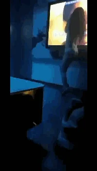 小姐姐们各种玩【最新国内暗黑的KTV】真空露点裸体陪玩，只有你想不到的