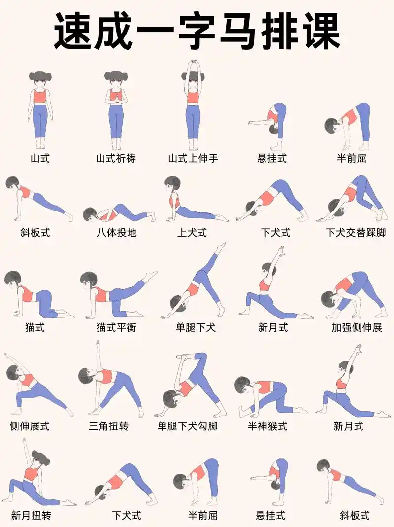 怎样练一字马