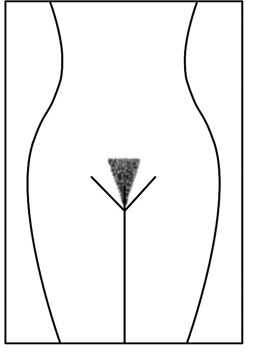 [私处风潮] 女士阴毛造型初探