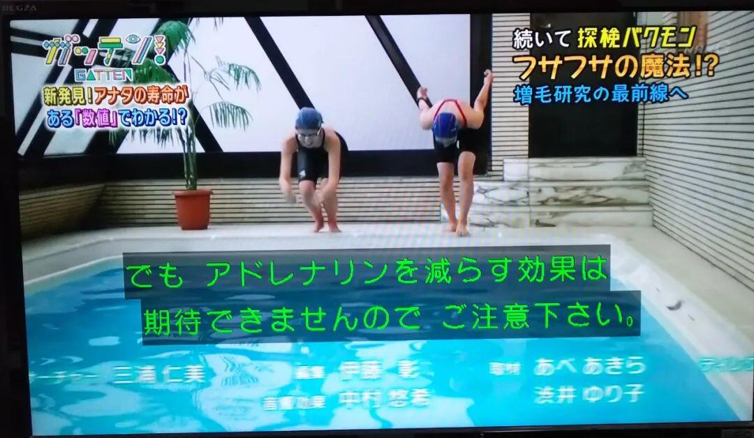日本最有名的游泳池，里面拍的片这辈子都看不完