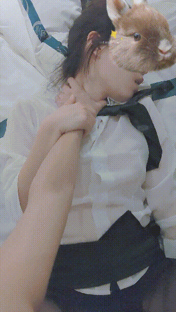 风情万种的小姐姐翘起小屁屁迎接大肉棒进入 攻速拉满让女神体验极致快乐