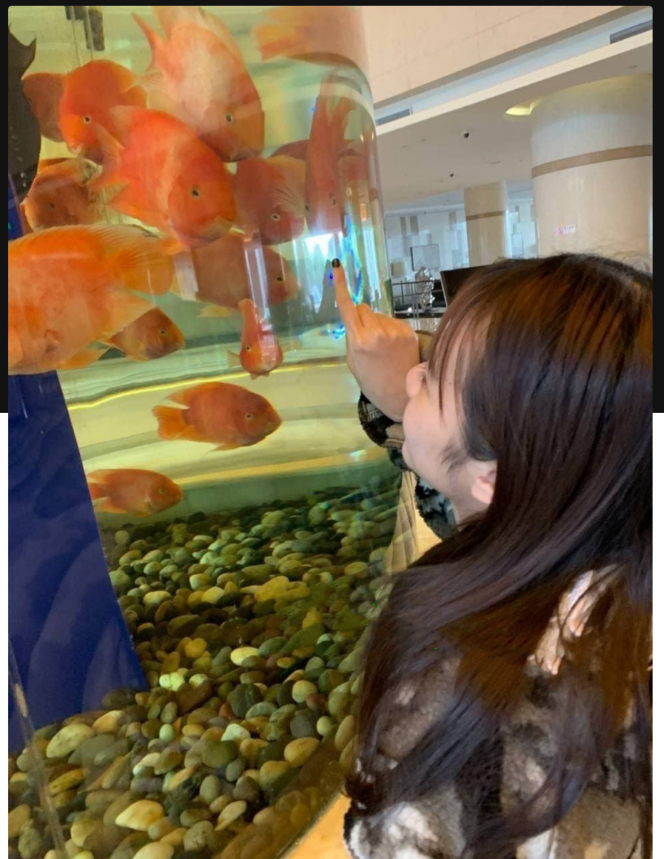匿名投稿！北京师范大学学妹给她过生日，刚切完蛋糕然后就成了我的骚母狗
