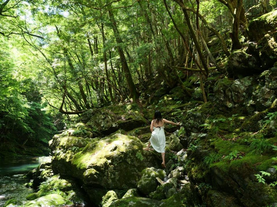 みたらい渓谷露出，炎炎夏日给你带来丝丝清凉