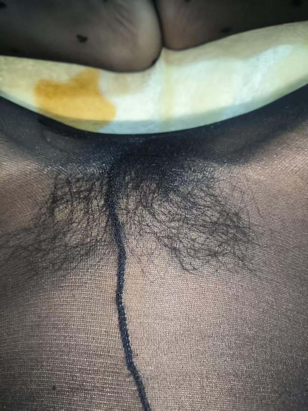 今日裤里丝无内